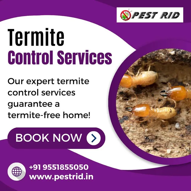 Pest Control 24X7 Trichy - 3