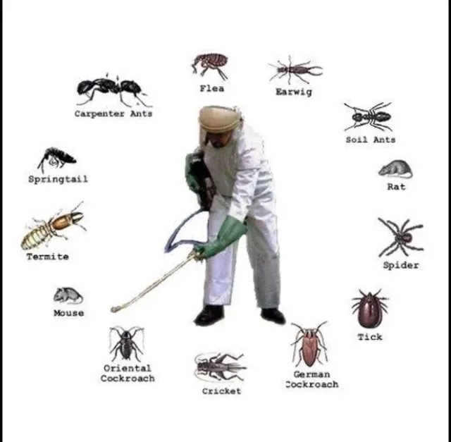 PREMIER PEST CONTROL - 2