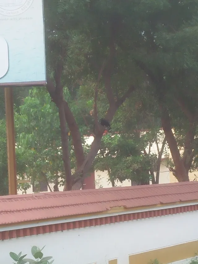 Sri Narayani Vidyashram Sr.Sec School (1930581) - 4