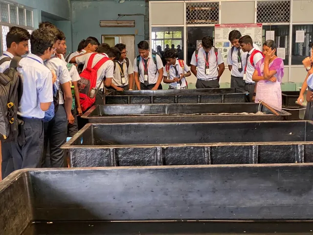 BMC Group Of Schools - 5