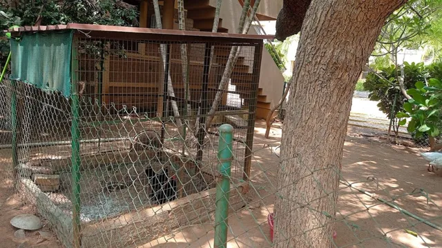 Blossom Public School, Primary and Secondary section - 2