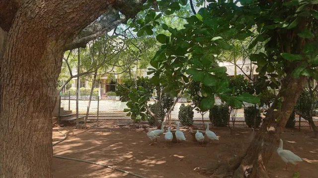 Blossom Public School, Primary and Secondary section - 5