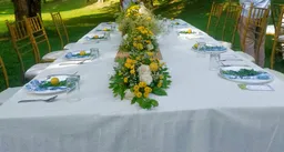 Caterly caterers - 2