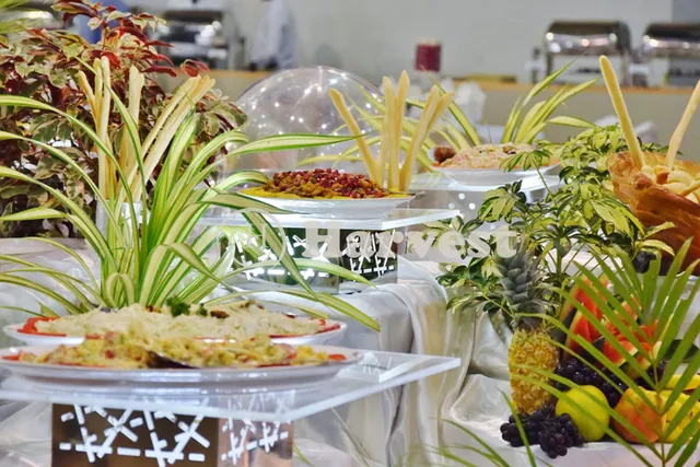 Harvest Caterers Pvt. Ltd - 3