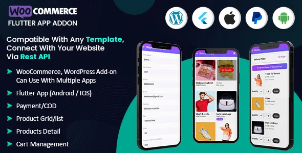 Himanshu Softtech IT Services Company - 3