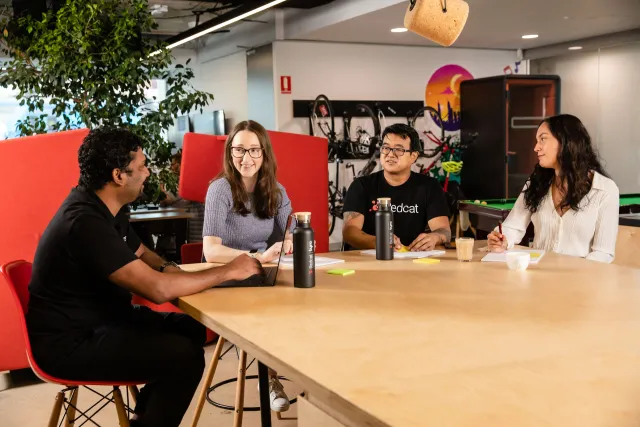 RedCat IT Solutions - 4