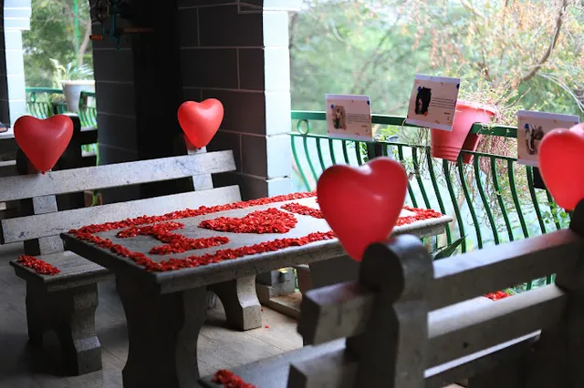 JustNFlair | Surprise & Event Planner Trichy - 4