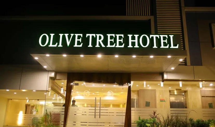 Olive Tree Hotel