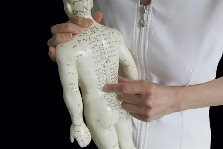 Roshan Academy - ( Acupuncture Institute / Homoeopathy Clinic ) - 3