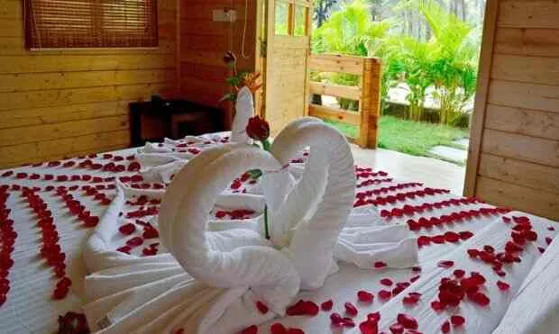 Majestic Beach Comforts - 5