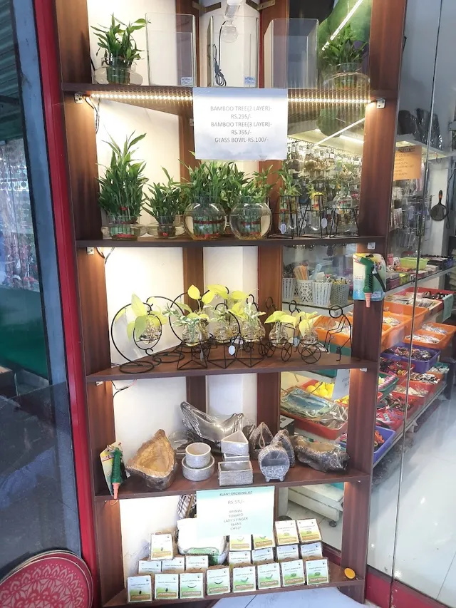 EDIFICe - Gift shop ( PEBBLES) - 5