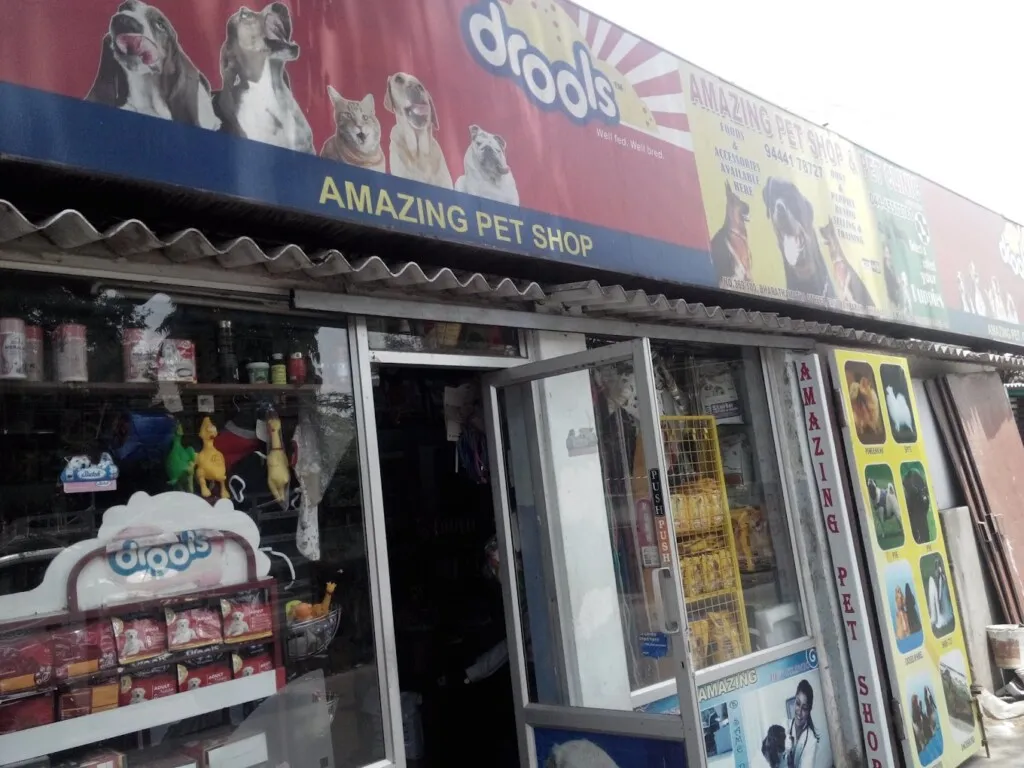 Amazing pet shop