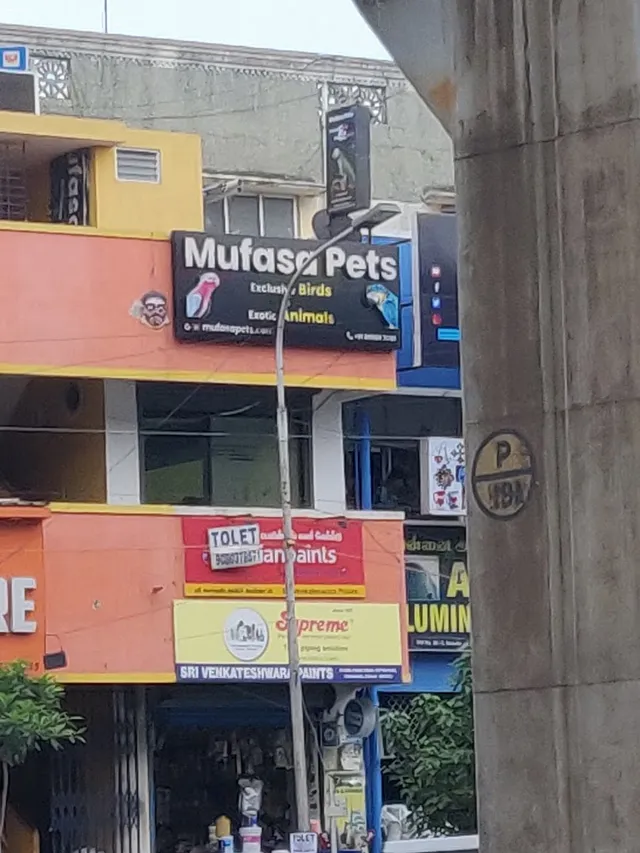 Mufasa Pets Exclusive birds pet shop in chennai