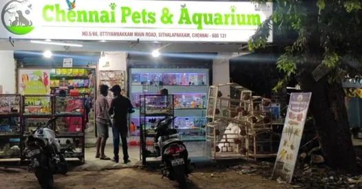 Chennai Pets Mart & Aquarium