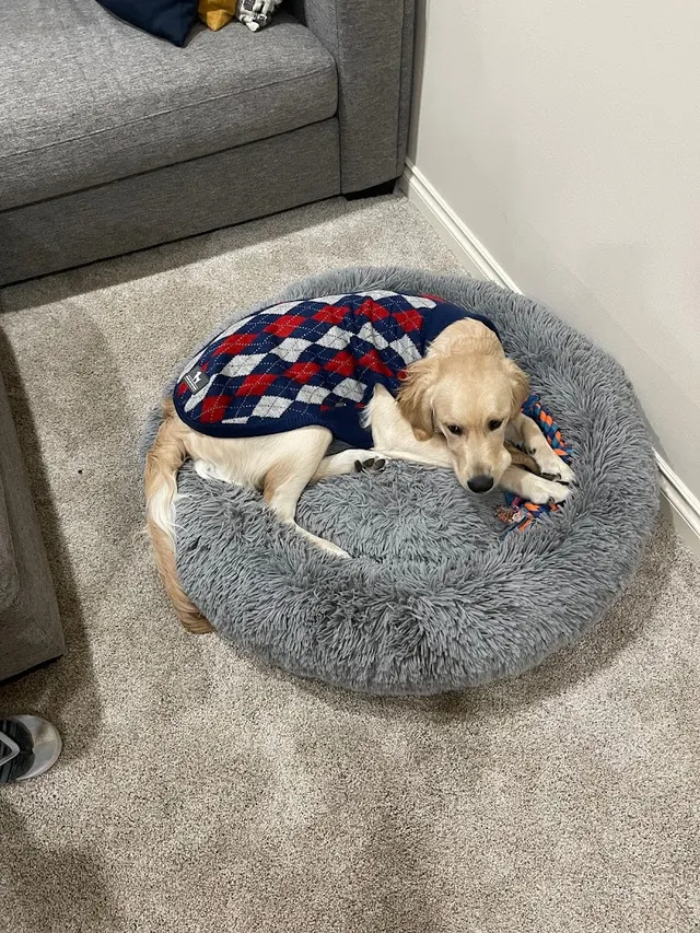 Heads Up For Tails | Kotturpuram, Chennai - 3