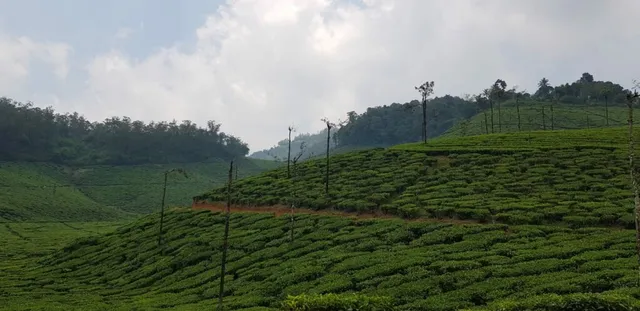 Yathumagi Tours & Travels - 3