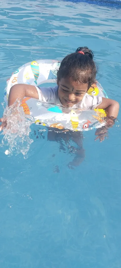 DOLPHIN SWIMMING POOL - 2