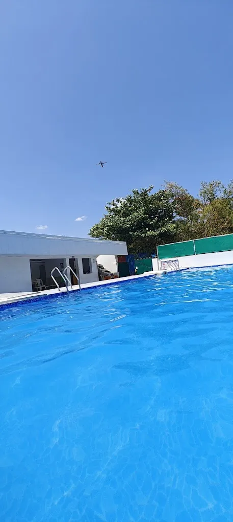 DOLPHIN SWIMMING POOL
