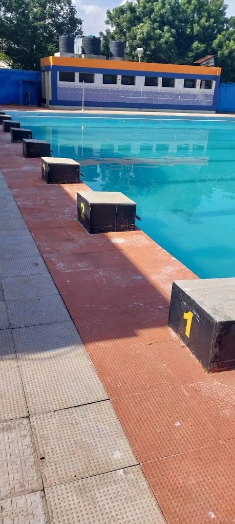 My Ladys Garden Swimming Pool - 3