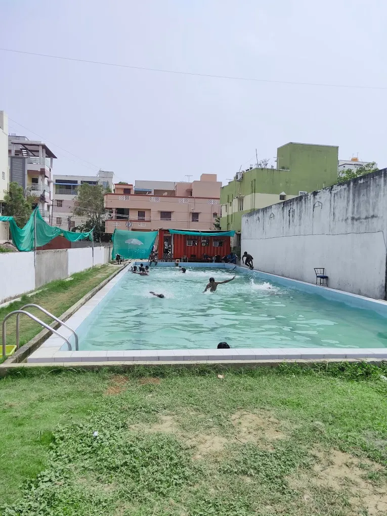 Blue Waters Swimming Academy