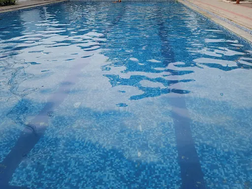 Stark Swimming Club-Mogappair-Fireball - 3