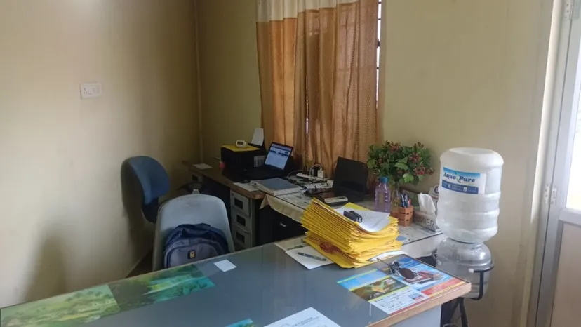 Paradise Packers And Movers