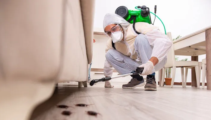 Tamilnadu Pest Control- Pest Control in Chennai - Termite Control in Chennai