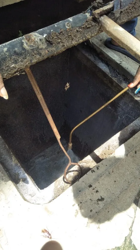 Tamilnadu Pest Control- Pest Control in Chennai - Termite Control in Chennai - 3