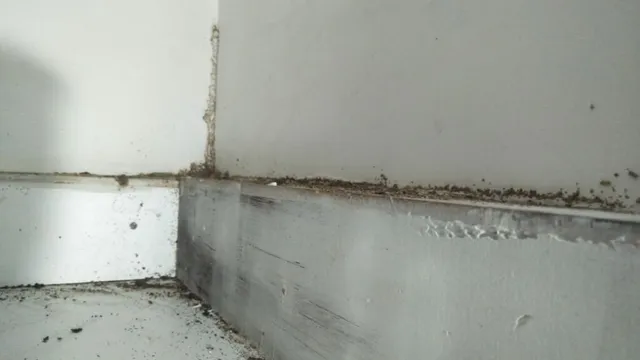 Tamilnadu Pest Control- Pest Control in Chennai - Termite Control in Chennai - 4