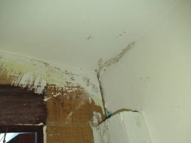 Happy Home Pest Control Services Chennai - 4