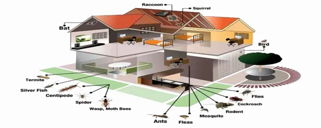 Sri Sai Pest Control Management Services Chennai - 4