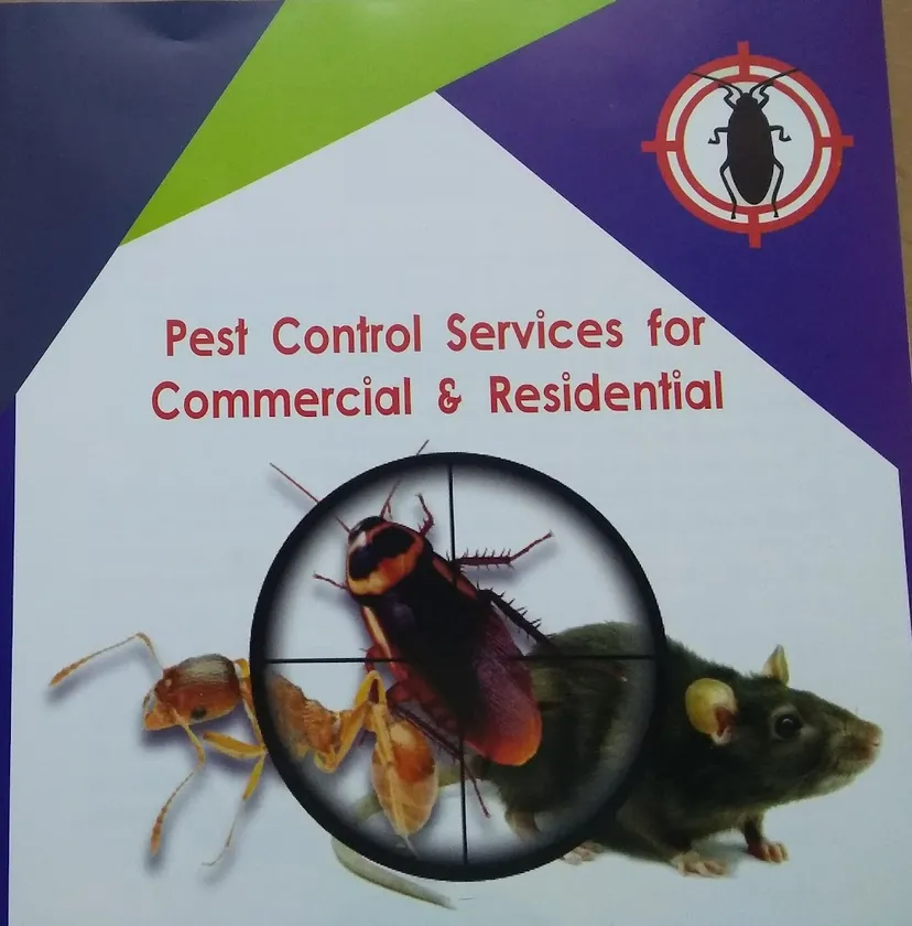 Rk pest control services chennai