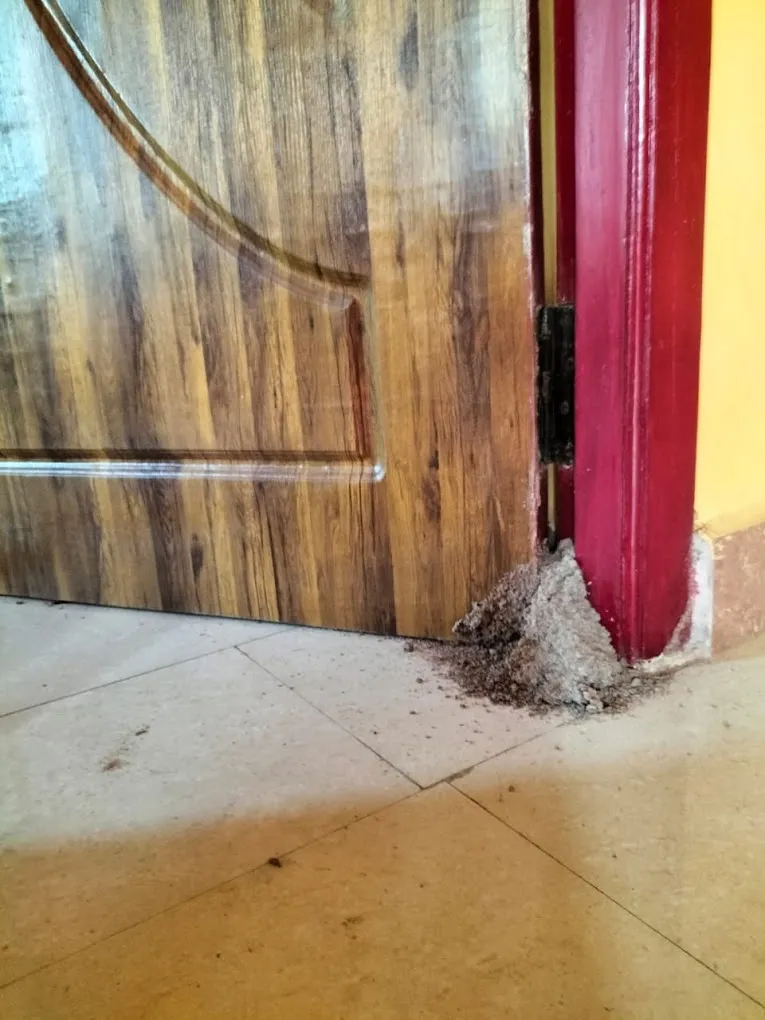 AARTHI PEST CONTROL IN CHENNAI