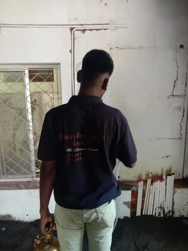 Dinesh Pest Control Services - Termite Control Treatment in Chennai - 3