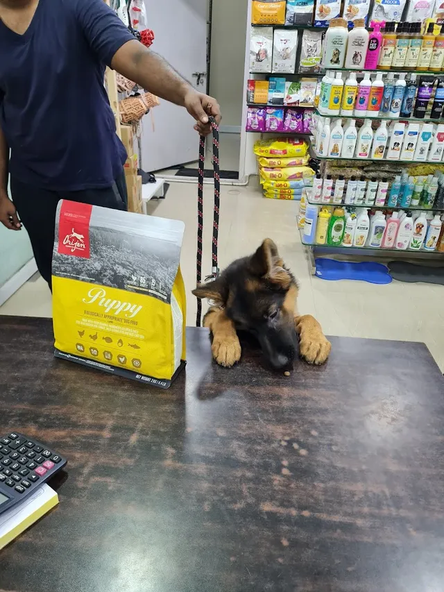 Best For Pets - Maduravoyal, Chennai - 2