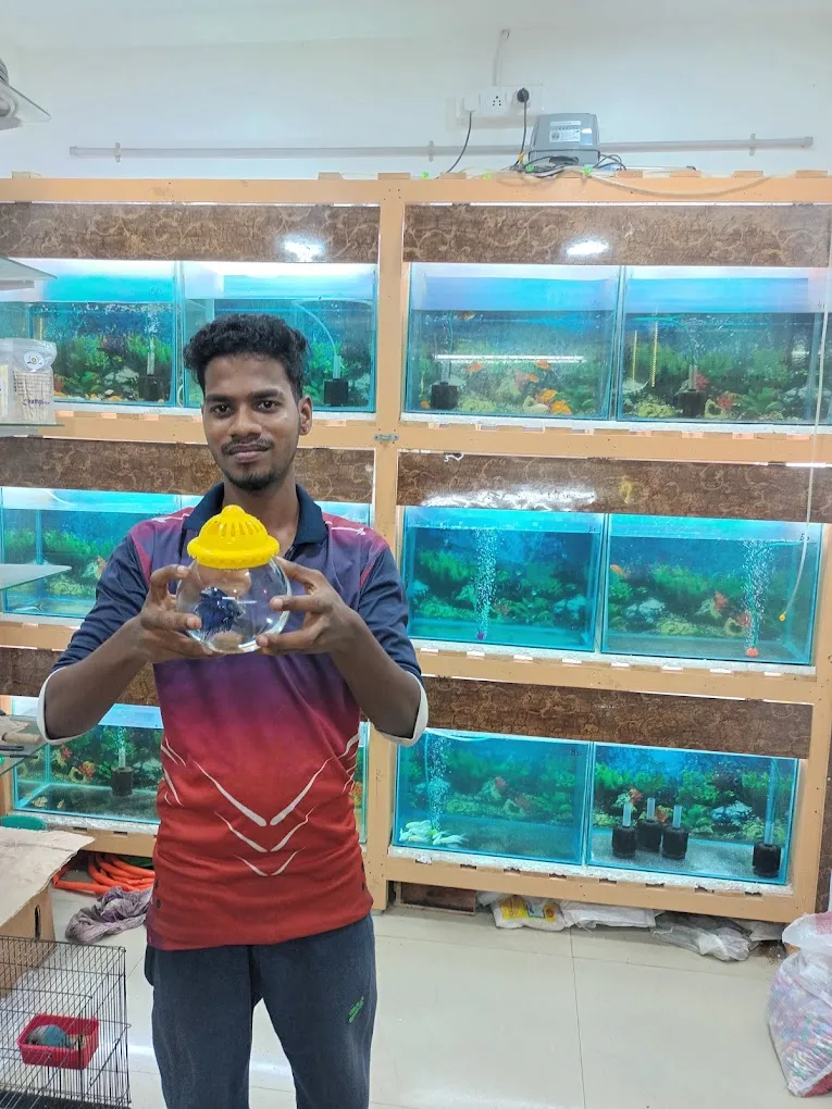 C.R Pets & Aquarium - pet shop, pet food & accessories, puppies sale