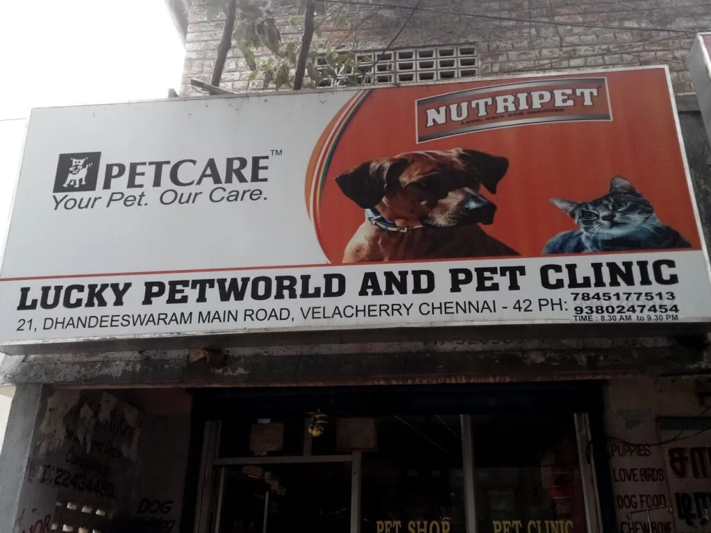 Lucky Pet World