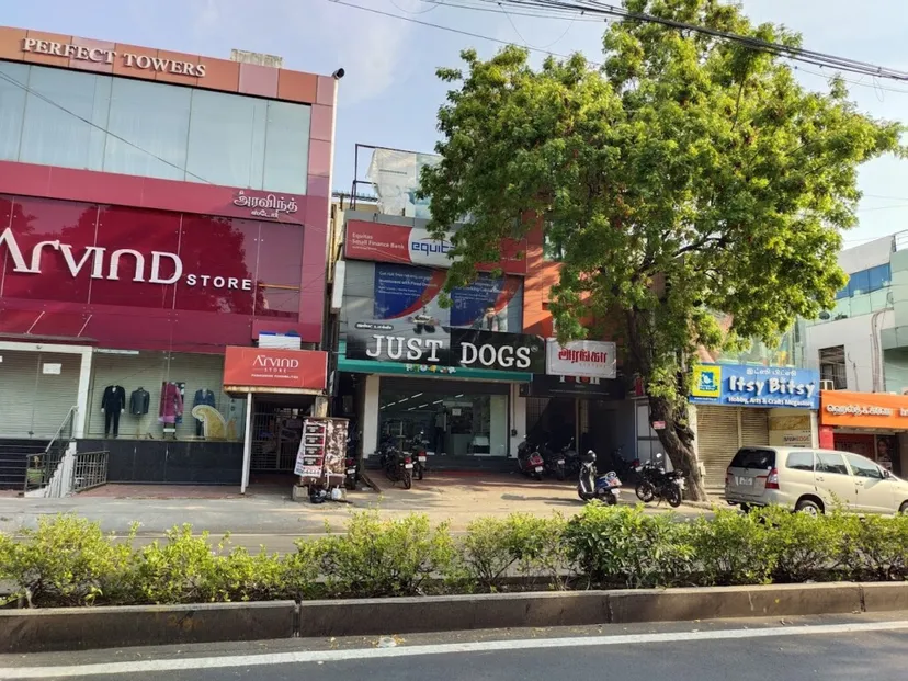 JUSTDOGS - Pet Store & Spa | Anna Nagar, Chennai