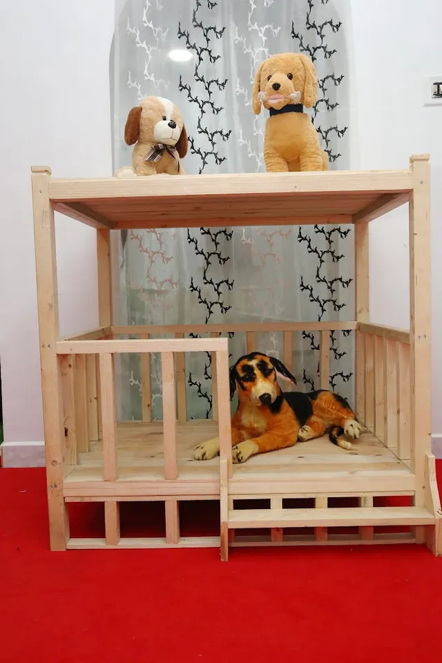 Best For Pets - Ramapuram, Chennai - 4