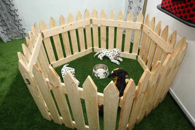 Best For Pets - Ramapuram, Chennai - 2