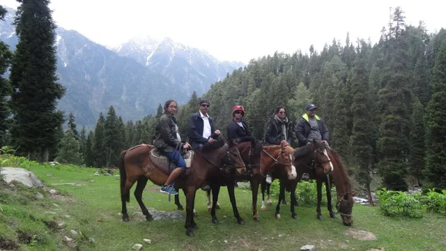 Travel Ahead Holidays - 4