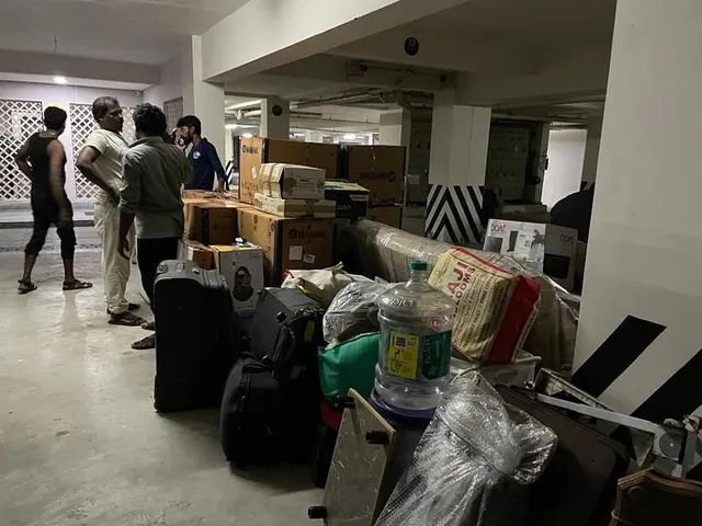 Rabbit Packers and Movers - 2