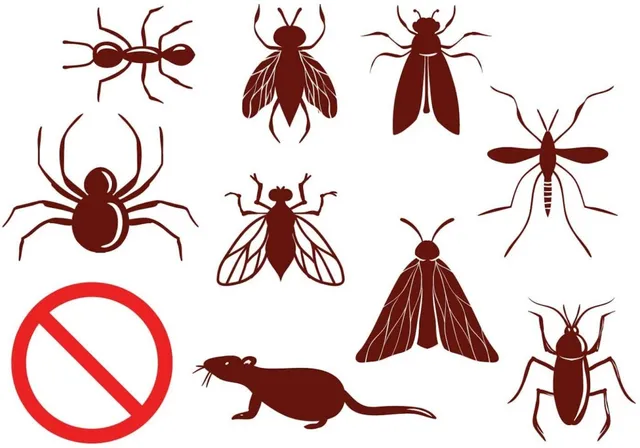 Raj Enterprises - Pest Control services in chennai (Govt.Approved & ISO Certified Company) - 3