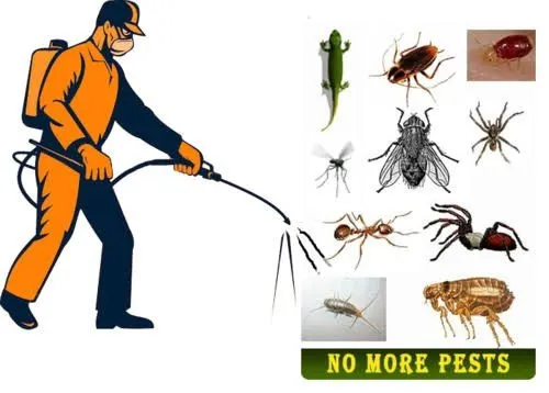 Duster Pest Control -Termites Pest Control Chennai - 2