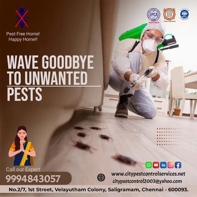 City Pest Control Services - 2