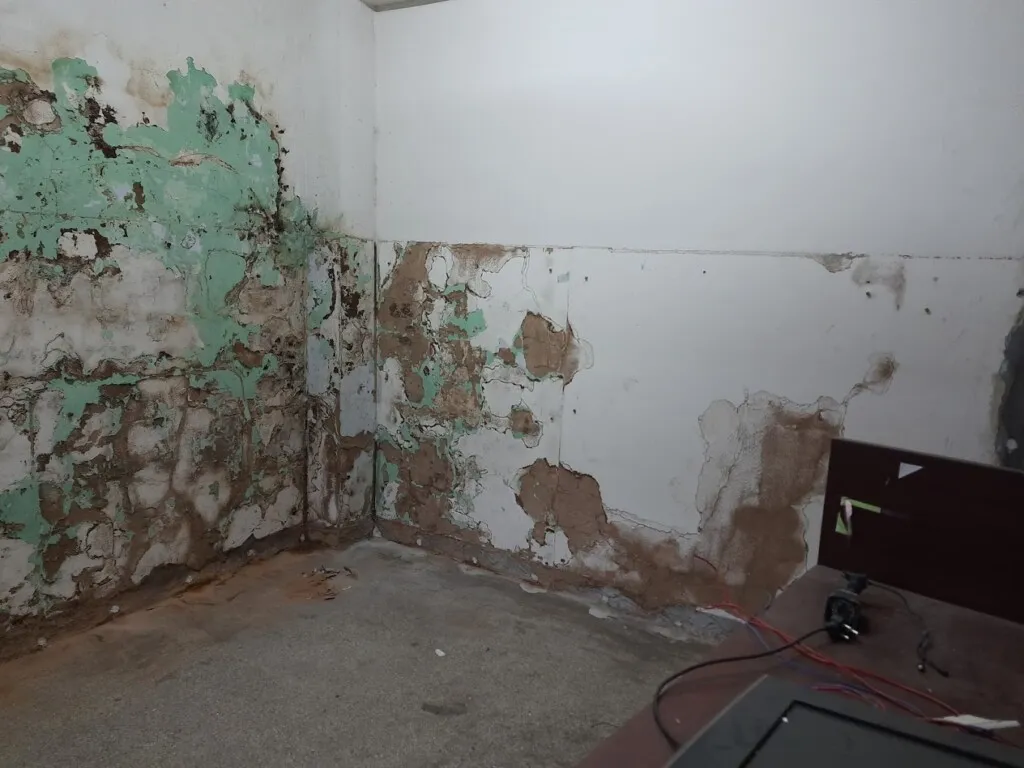 Premier Pest Solution