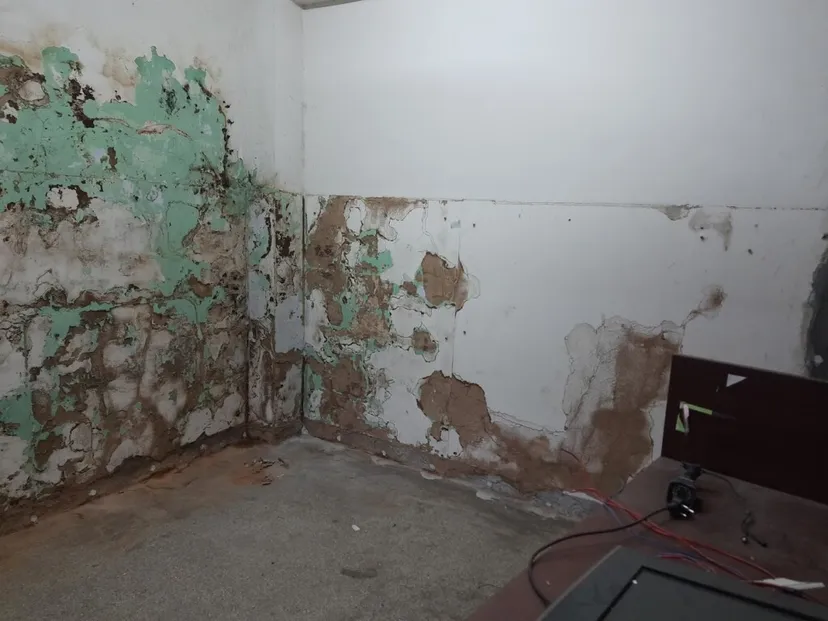 Premier Pest Solution