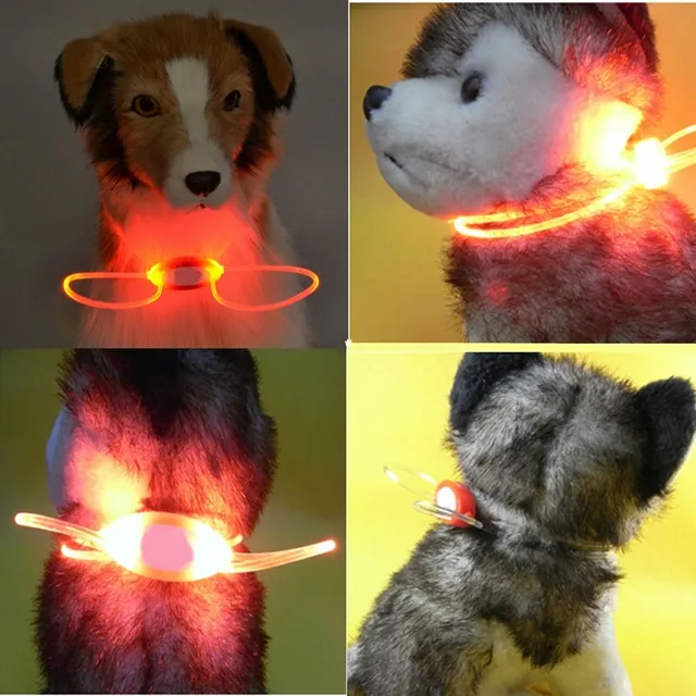 JUST 4 PET STORE - 2