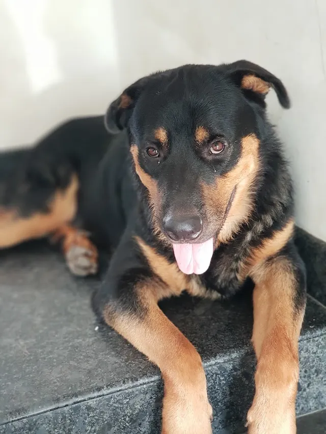 Rakk pets & aquarium - 4