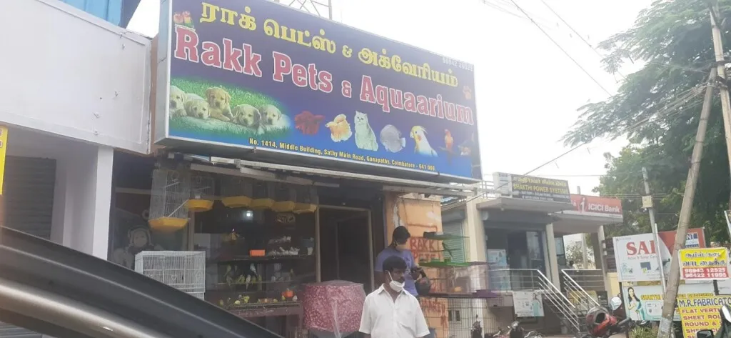 Rakk pets & aquarium